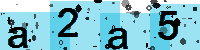Capcha code