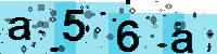 Capcha code