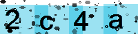 Capcha code