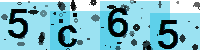 Capcha code