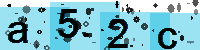 Capcha code