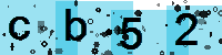 Capcha code