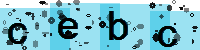 Capcha code