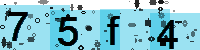 Capcha code