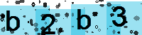 Capcha code