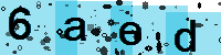 Capcha code