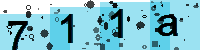 Capcha code