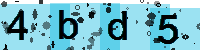 Capcha code