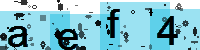 Capcha code