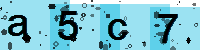 Capcha code