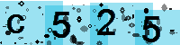 Capcha code