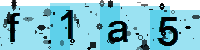 Capcha code
