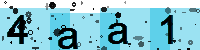 Capcha code