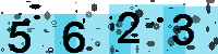 Capcha code
