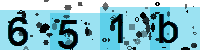 Capcha code
