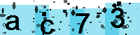 Capcha code