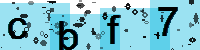 Capcha code