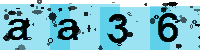 Capcha code