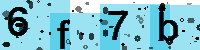 Capcha code