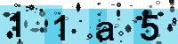 Capcha code
