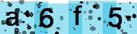 Capcha code