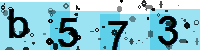 Capcha code