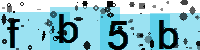 Capcha code