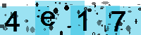 Capcha code