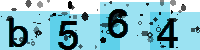Capcha code
