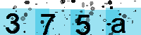 Capcha code