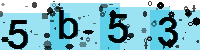 Capcha code
