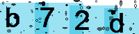 Capcha code