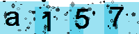 Capcha code