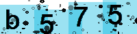 Capcha code