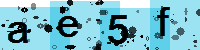 Capcha code